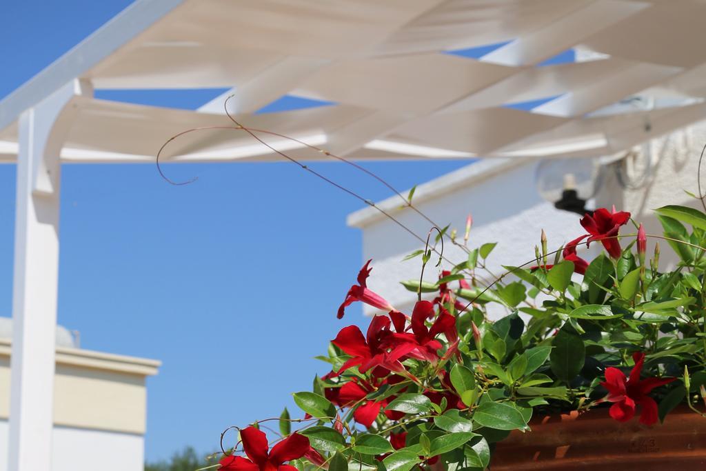 Villa Mare Relax Lido Marini Exterior foto